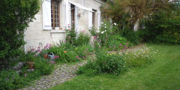 Jardin sauvage © J.C. Lerondeau